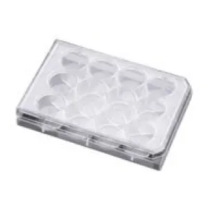 BD 351178 Falcon Clear Polystyrene 48 Well Plate with Low-Evaporation Lid, 1.4mL Volume, Flat Bottom Shape (Case of 50)