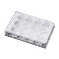 BD 351178 Falcon Clear Polystyrene 48 Well Plate with Low-Evaporation Lid, 1.4mL Volume, Flat Bottom Shape (Case of 50)