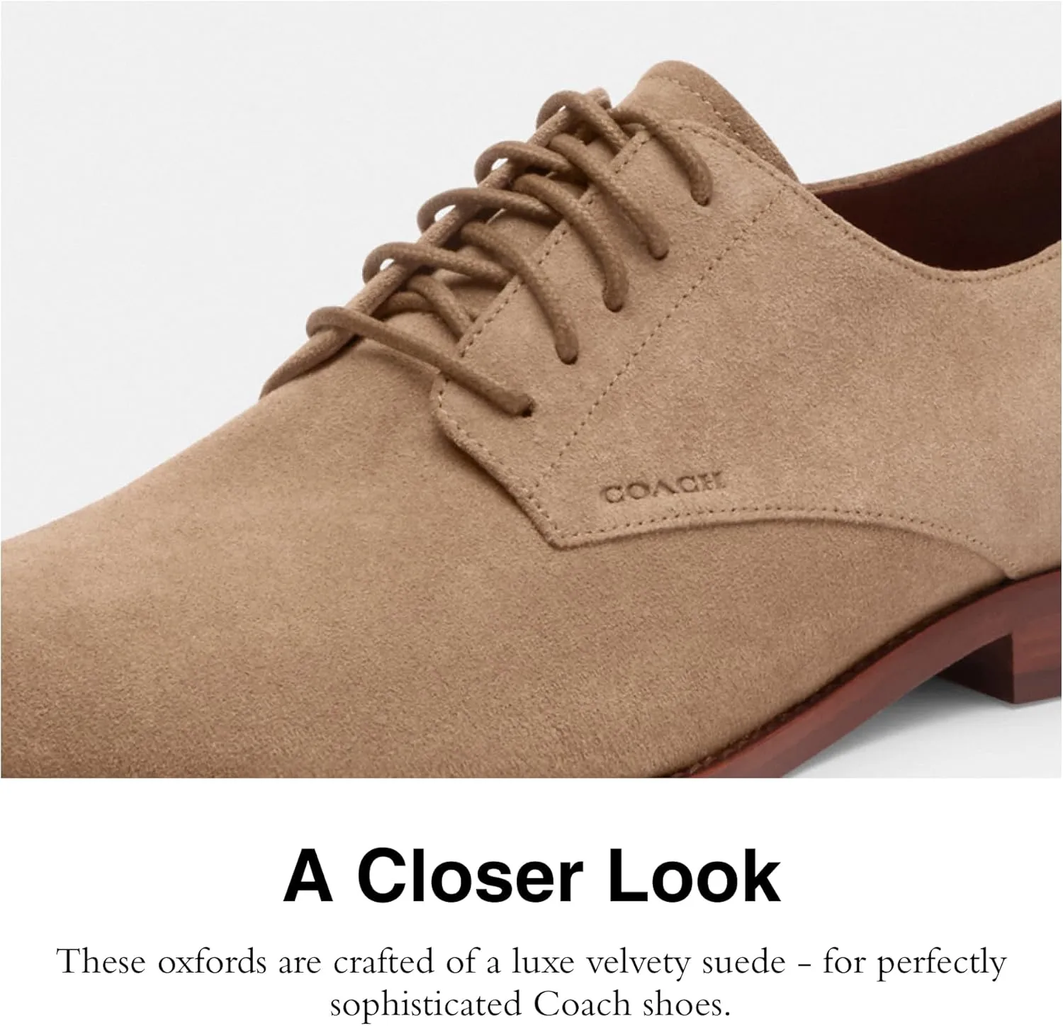 Coach Men's Davi Suede Derby
