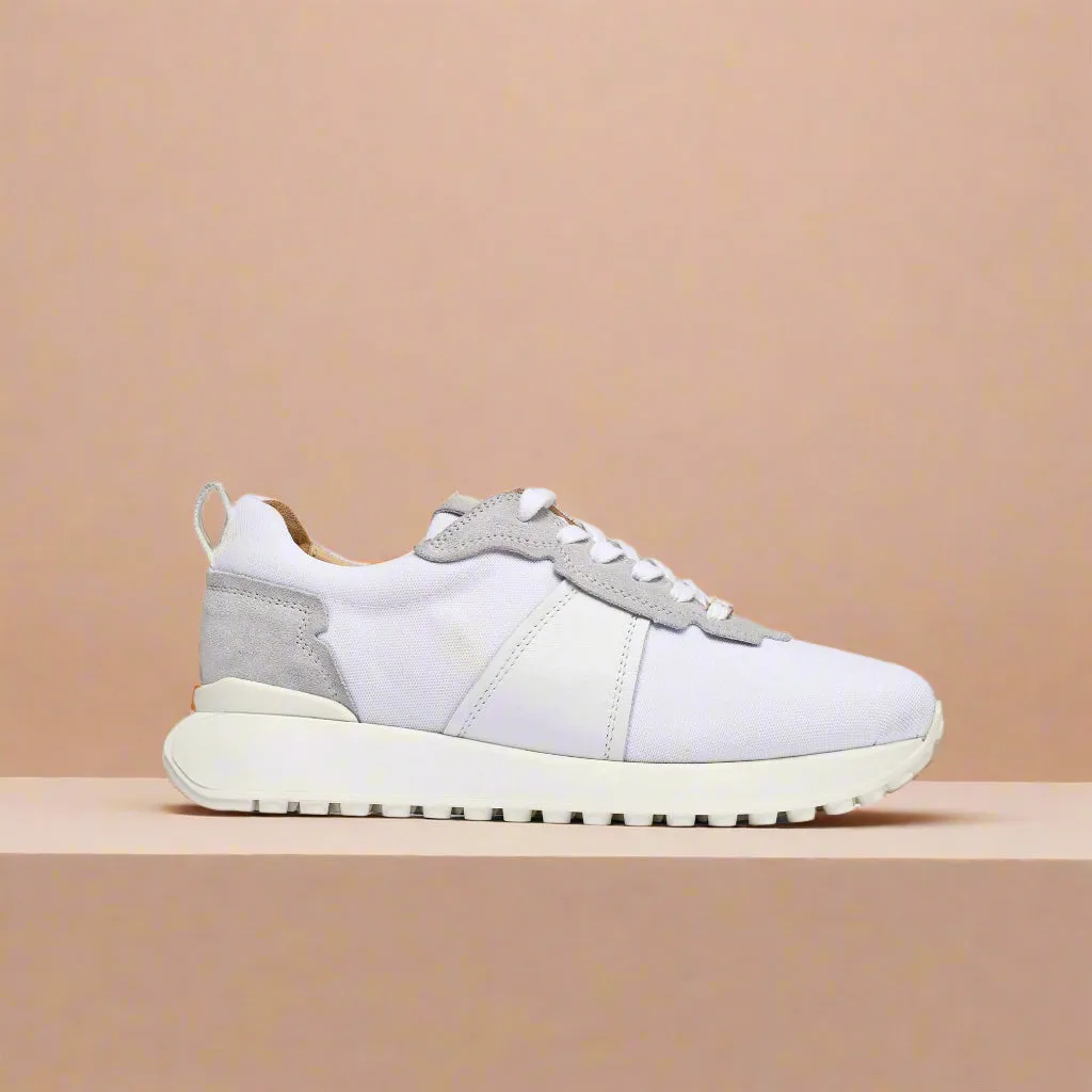 Cosmos - White