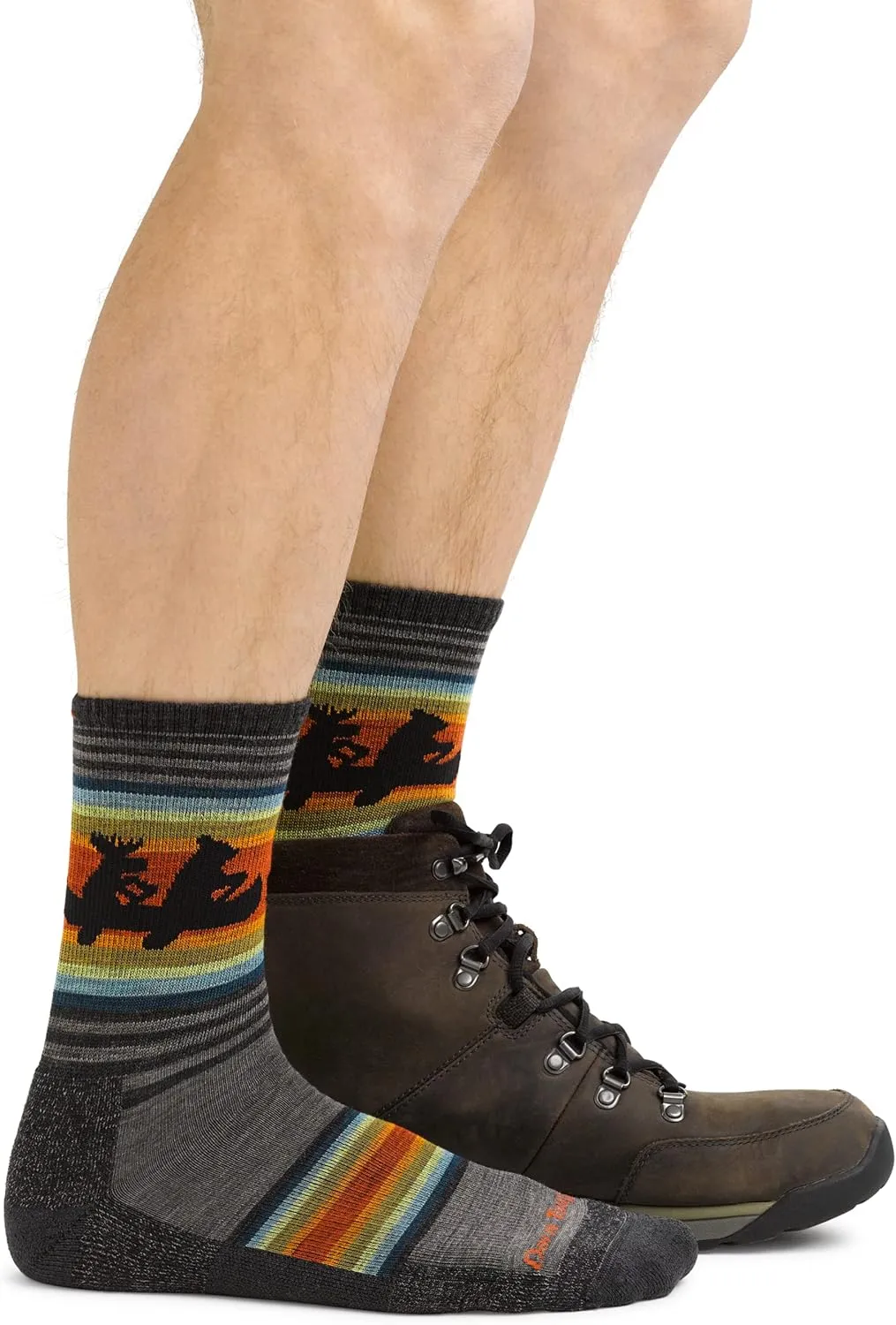 Darn Tough Men's Willoughby Micro Crew Lightweight with Cushion Sock (Style 5003)