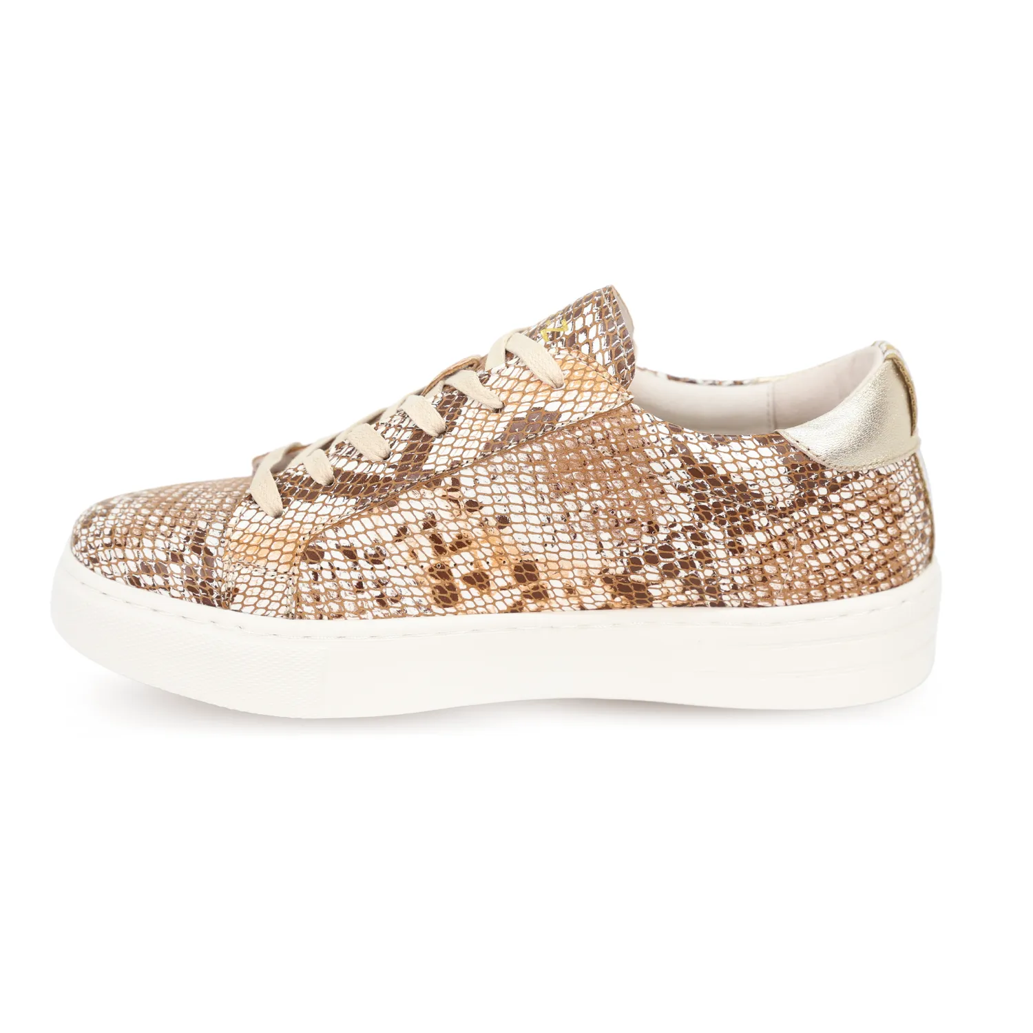 IVY Z LACE 2.0 BEIGE SNAKE