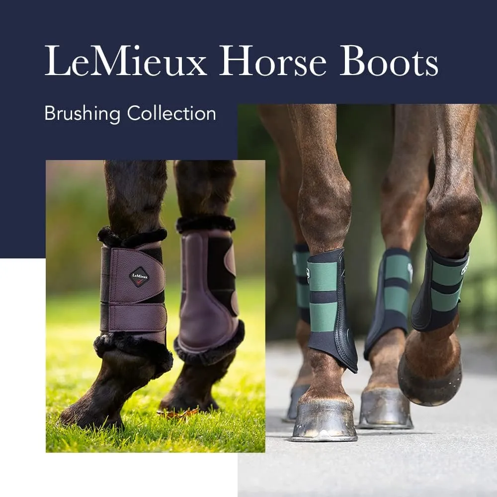 LeMieux ProShell Brushing Horse Boots - Protective Gear and Training Equipment - Equine Boots, Wraps & Accessories