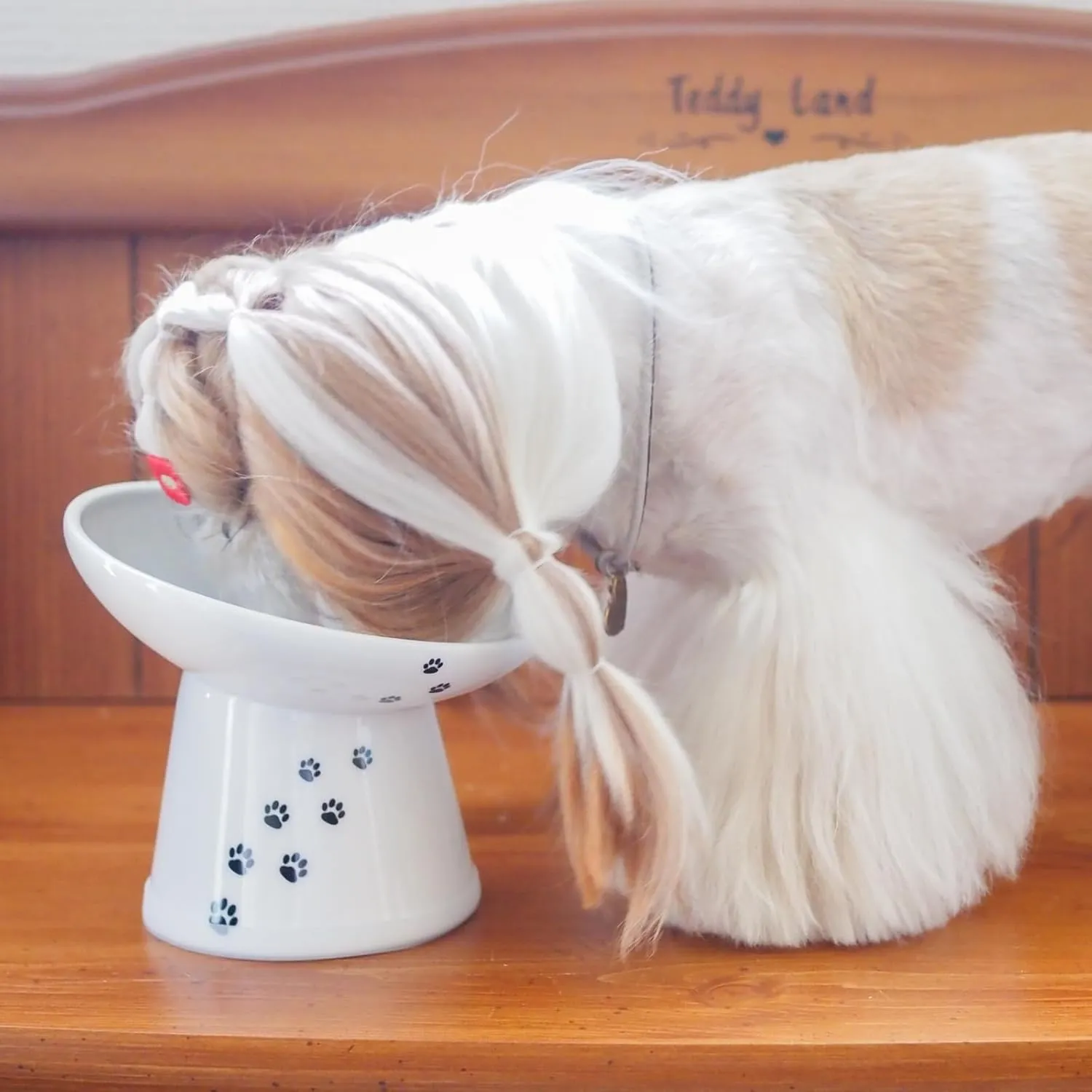 Necoichi Raised Dog Food Bowl, Elevated, for Dogs and Cats, Pets Feeding Feeder Non-Slip for Small Dogs Dishwasher and Microwave Safe, No.1 Seller in Japan! (Dog, Extra Wide Tilted)