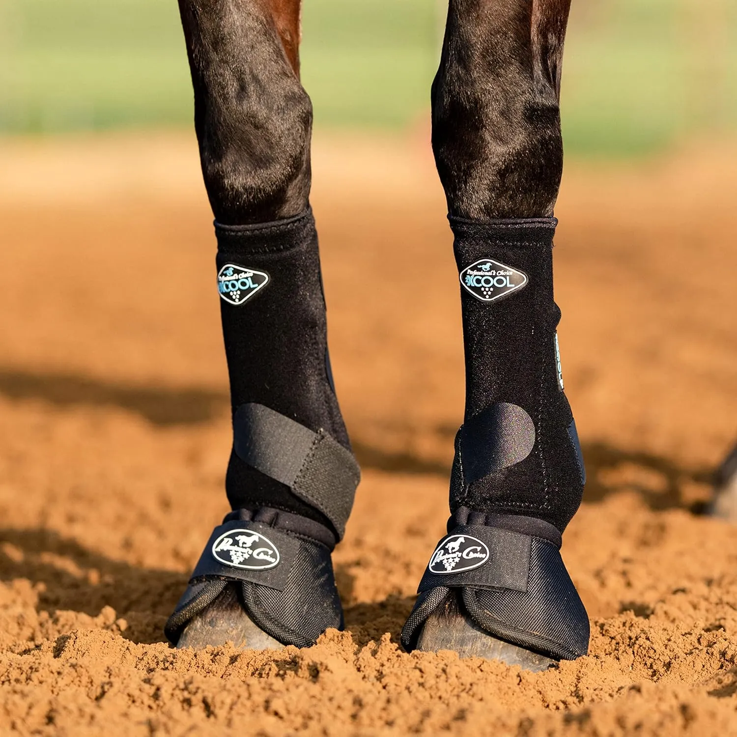 Professional's Choice 2XCOOL Sports Medicine Horse Boots | Protective & Breathable Design for Ultimate Comfort, Durability & Cooling in Active Horses | 2 Pack (BLACK, LARGE)