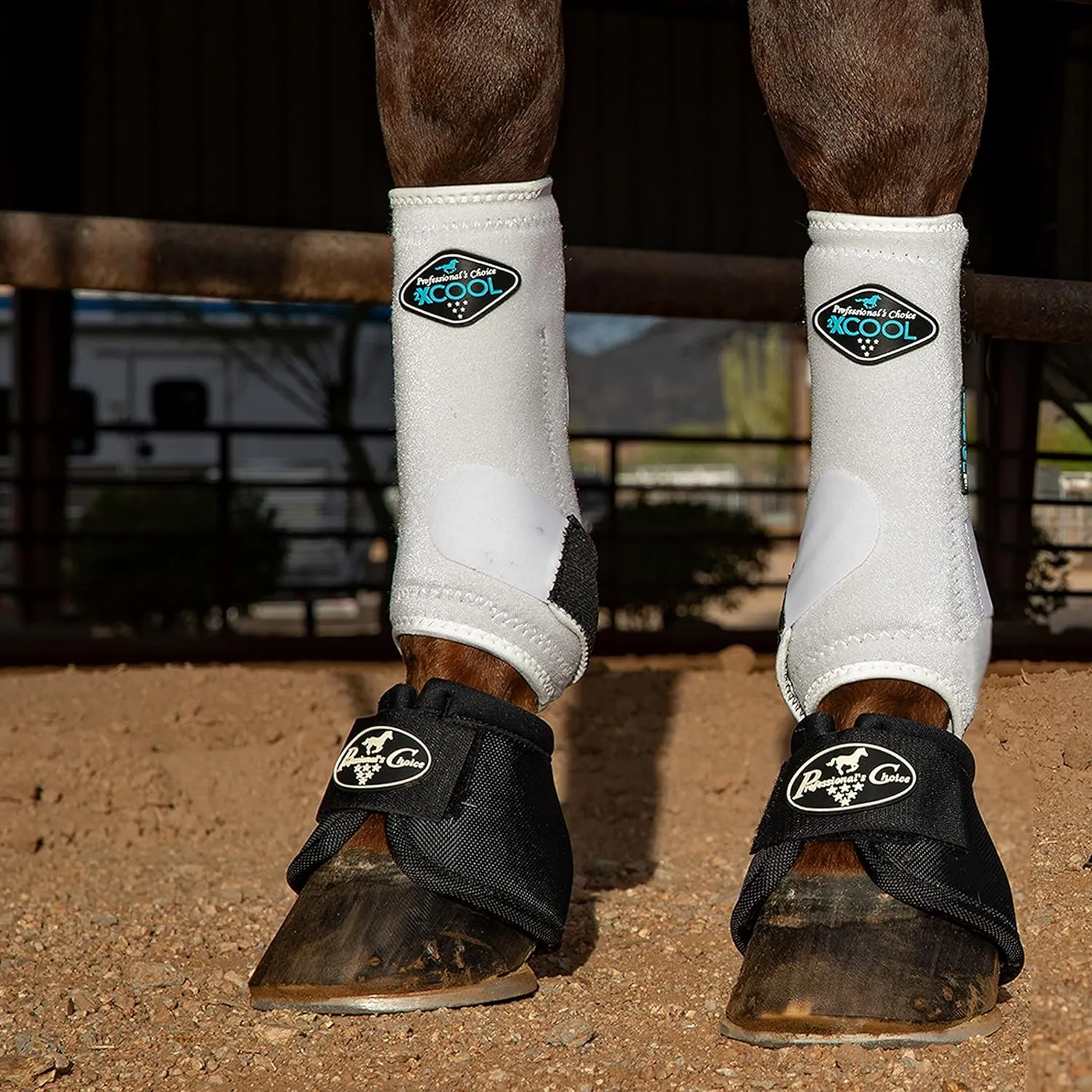 Professional's Choice 2XCOOL Sports Medicine Horse Boots | Protective & Breathable Design for Ultimate Comfort, Durability & Cooling in Active Horses | 2 Pack (White, Medium)