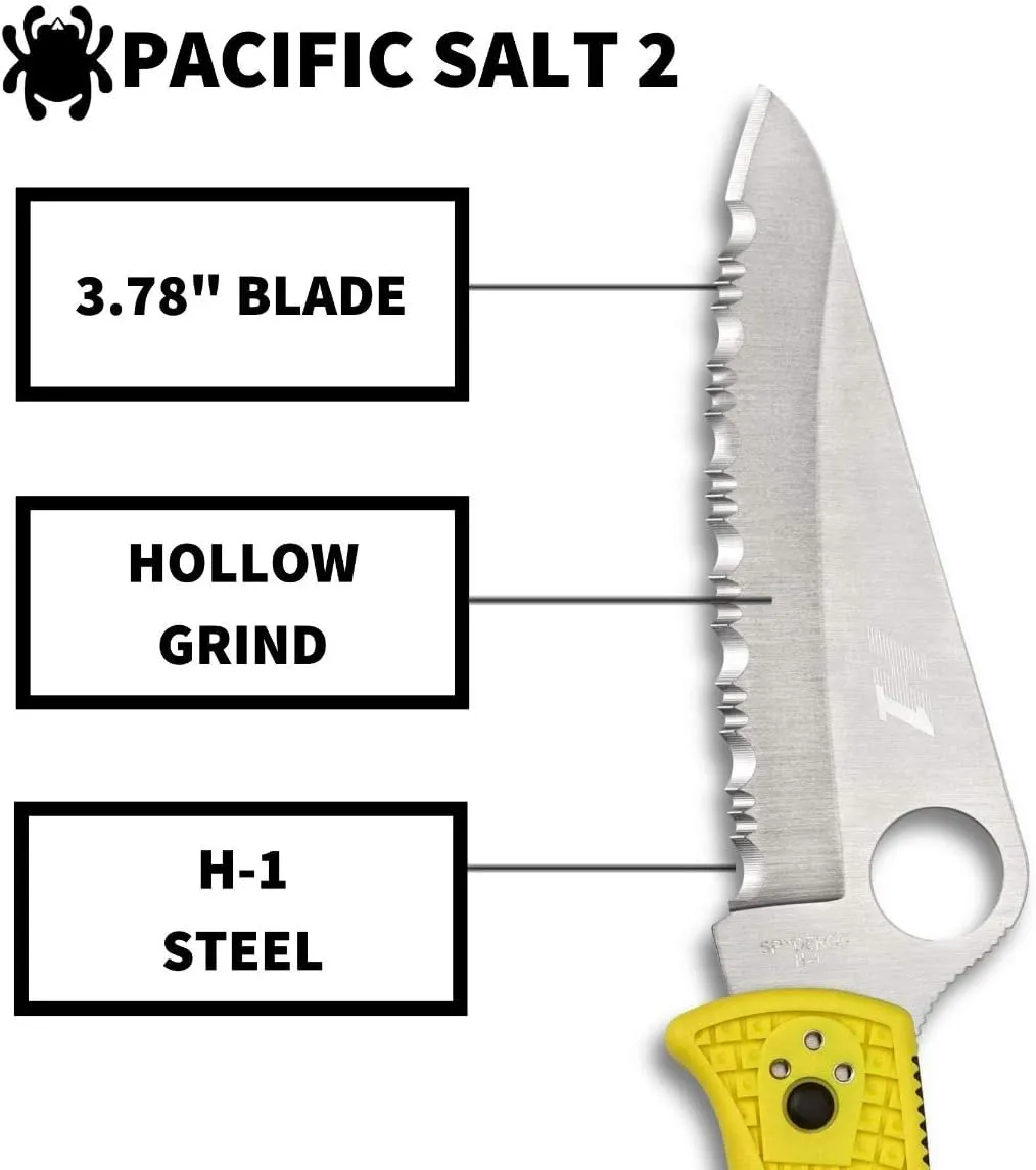 Spyderco Pacific Salt 2 Lightweight Knife with 3.78" Corrosion Resistant H-1 Steel Blade and Black Non-Slip FRN Handle
